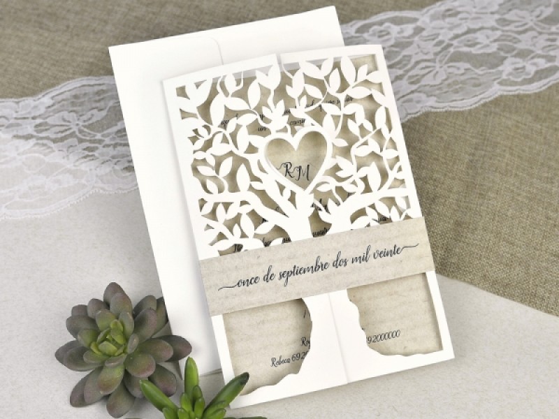 invitatii JHN