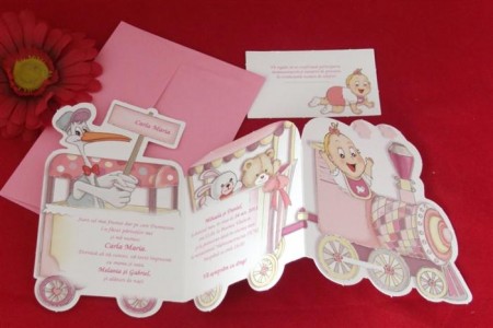 invitatie cod 15208